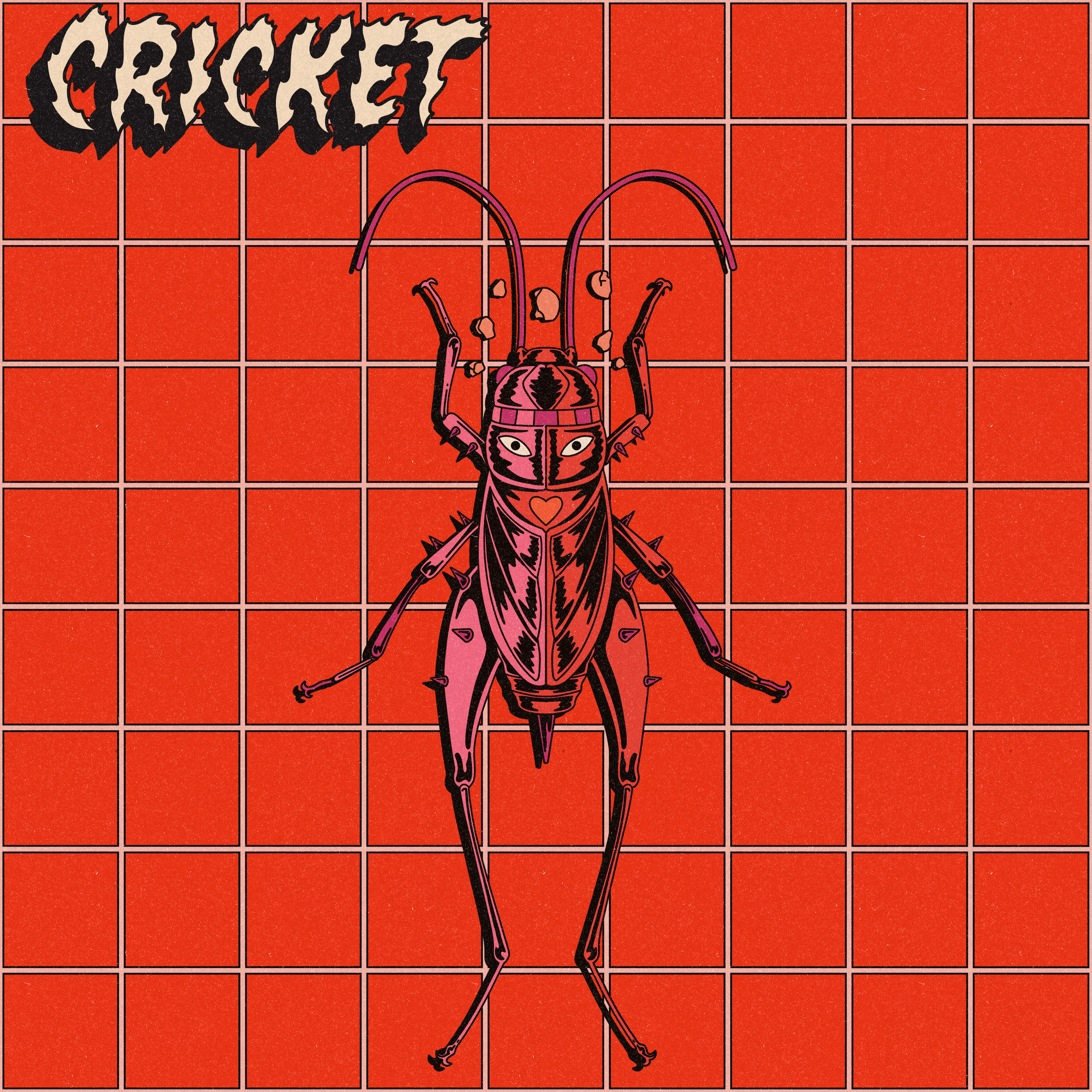 Cricket
